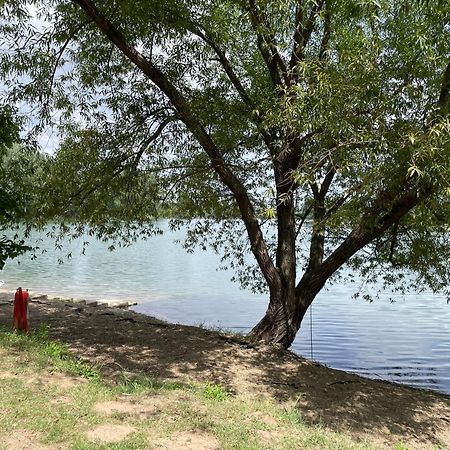 Camping Oaza Bela Crkva  Exteriör bild