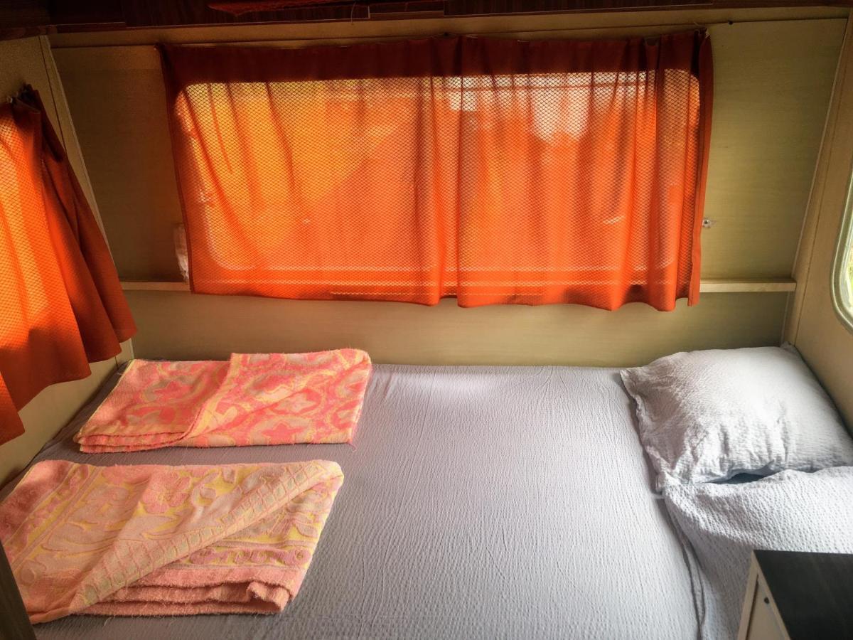 Camping Oaza Bela Crkva  Exteriör bild