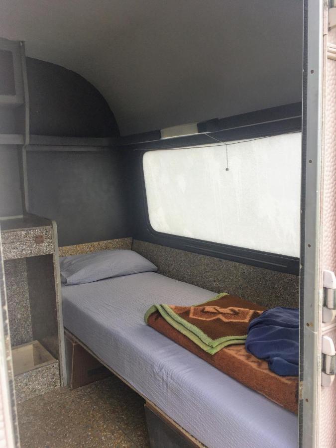Camping Oaza Bela Crkva  Exteriör bild