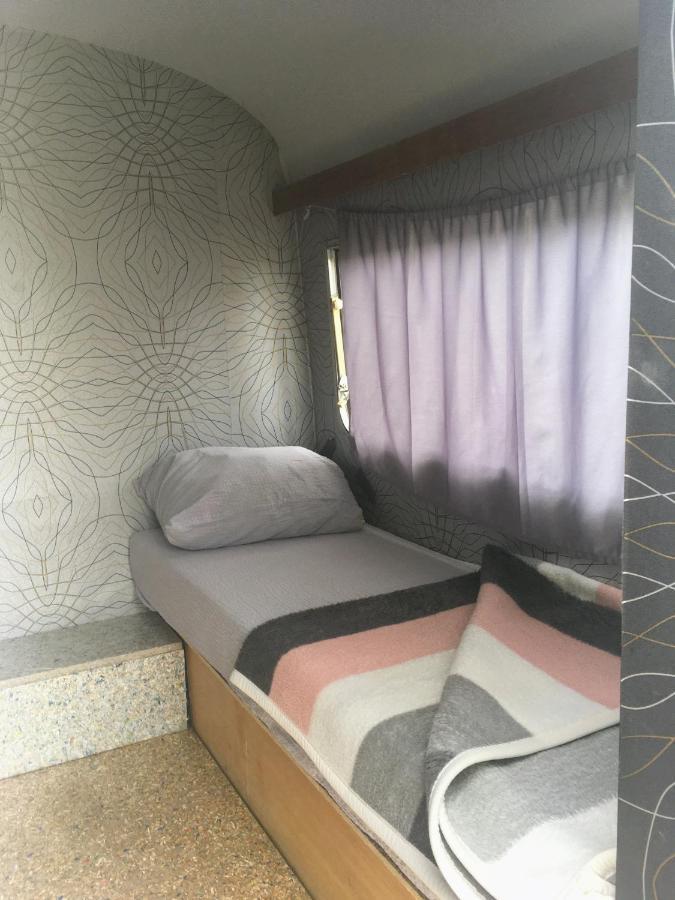 Camping Oaza Bela Crkva  Exteriör bild