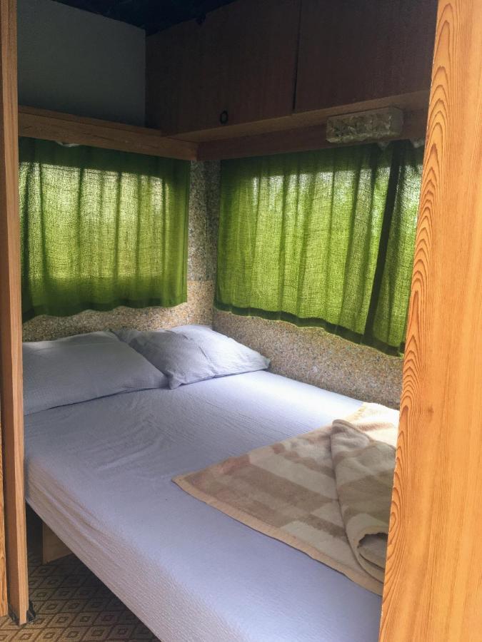 Camping Oaza Bela Crkva  Exteriör bild