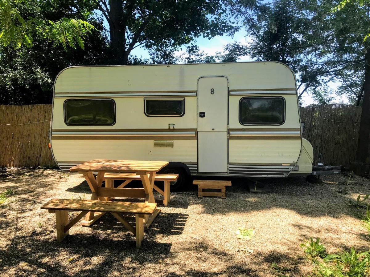 Camping Oaza Bela Crkva  Exteriör bild