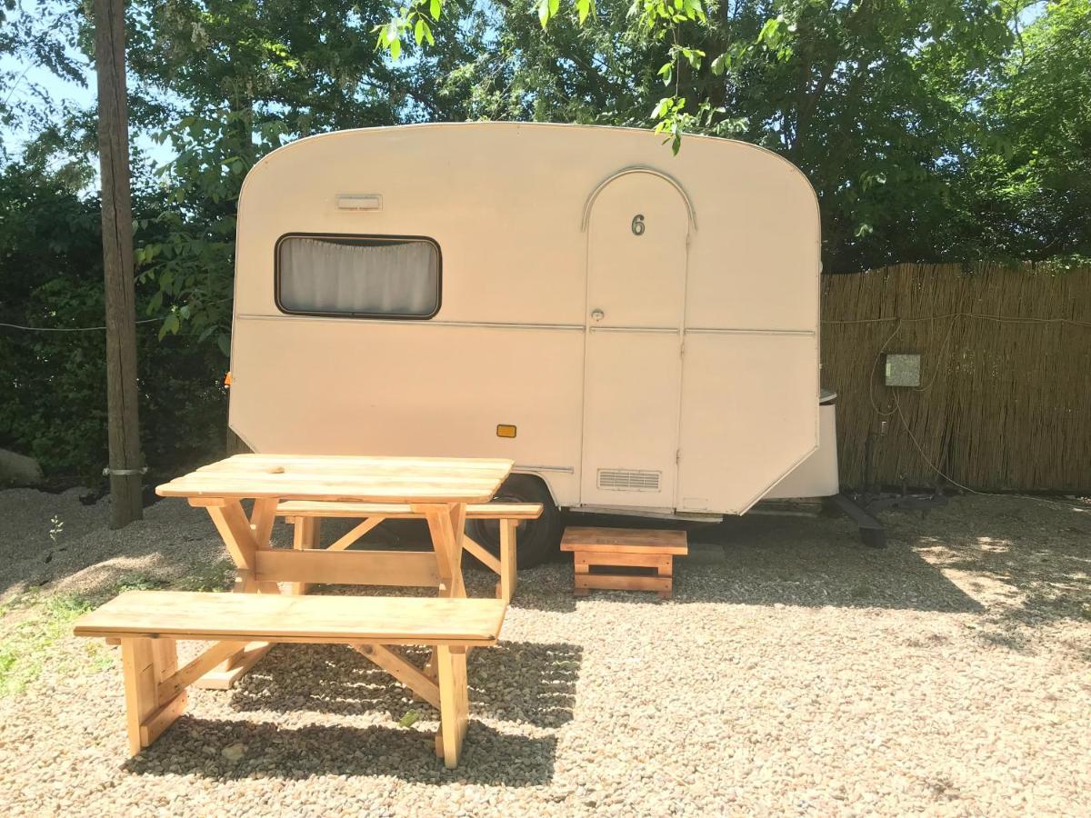 Camping Oaza Bela Crkva  Exteriör bild